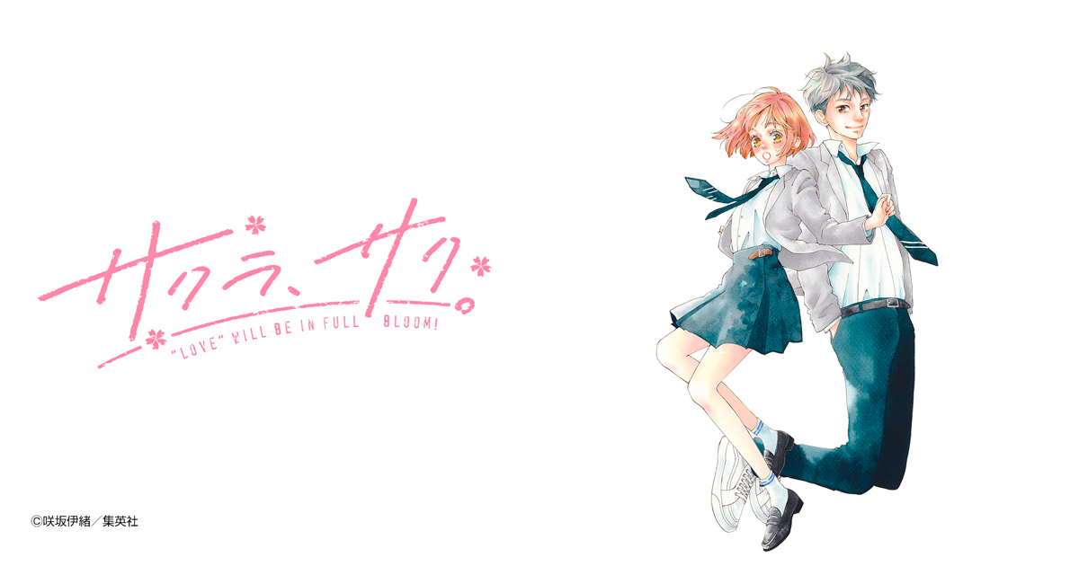 サクラ、サク。