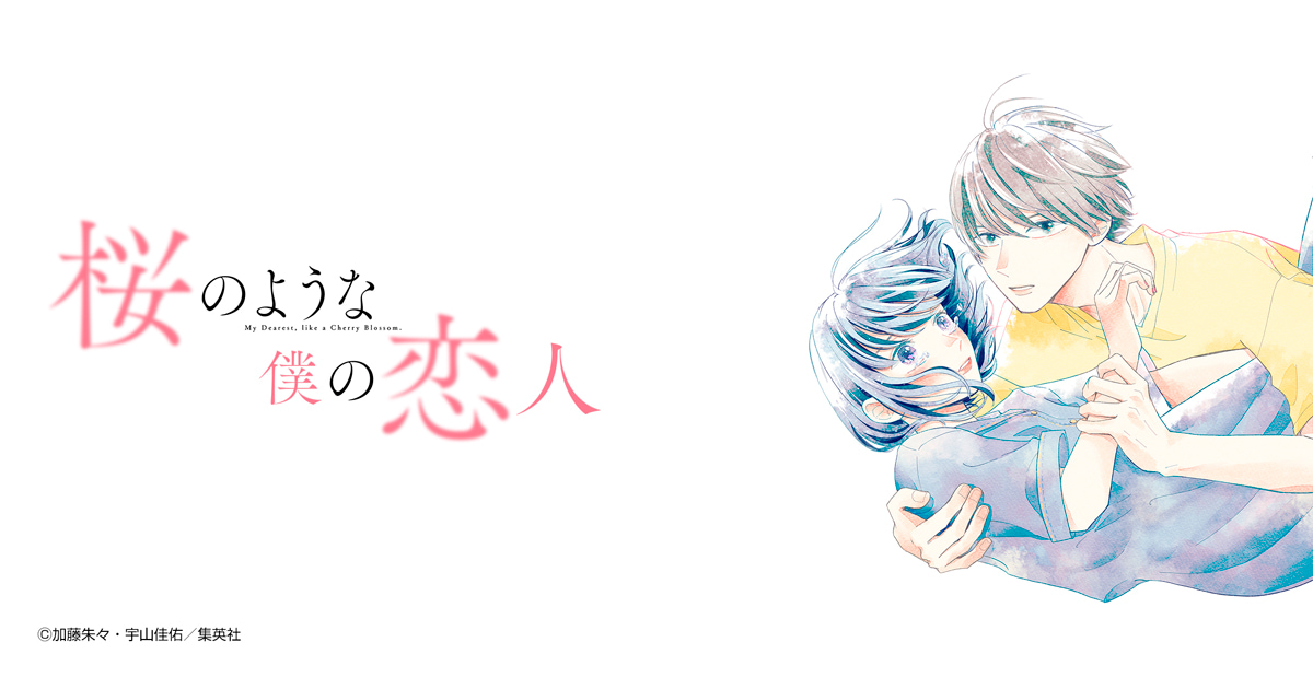桜のような僕の恋人
