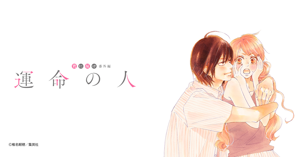 君に届け 番外編～運命の人～